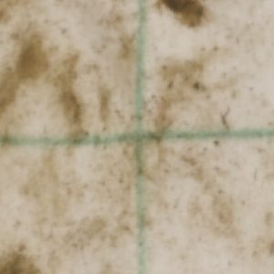 Trial2_Dirty_SoapAndWater