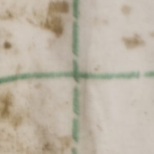 Trial3_Dirty_AlmondMilk